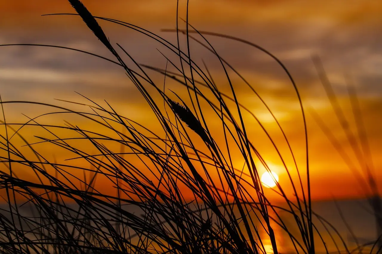 Danmarks bedste familievenlige strande: kort, parkering og puslefaciliteter